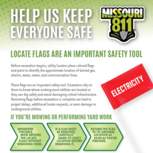Flyer - Do Not Remove Flags (DIGITAL DOWNLOAD - PDF)